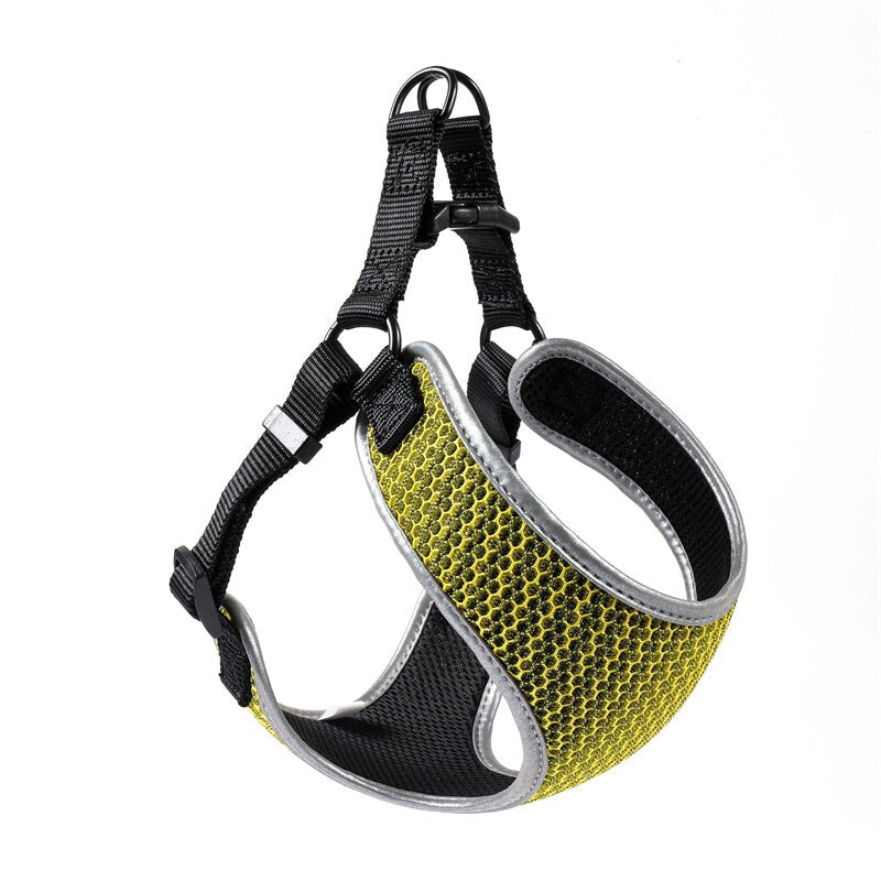 Daily walking harness and leash set for pets