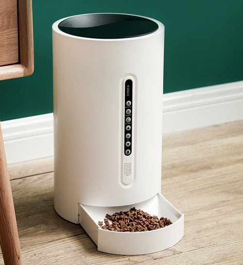 Smart pet feeder with timing function