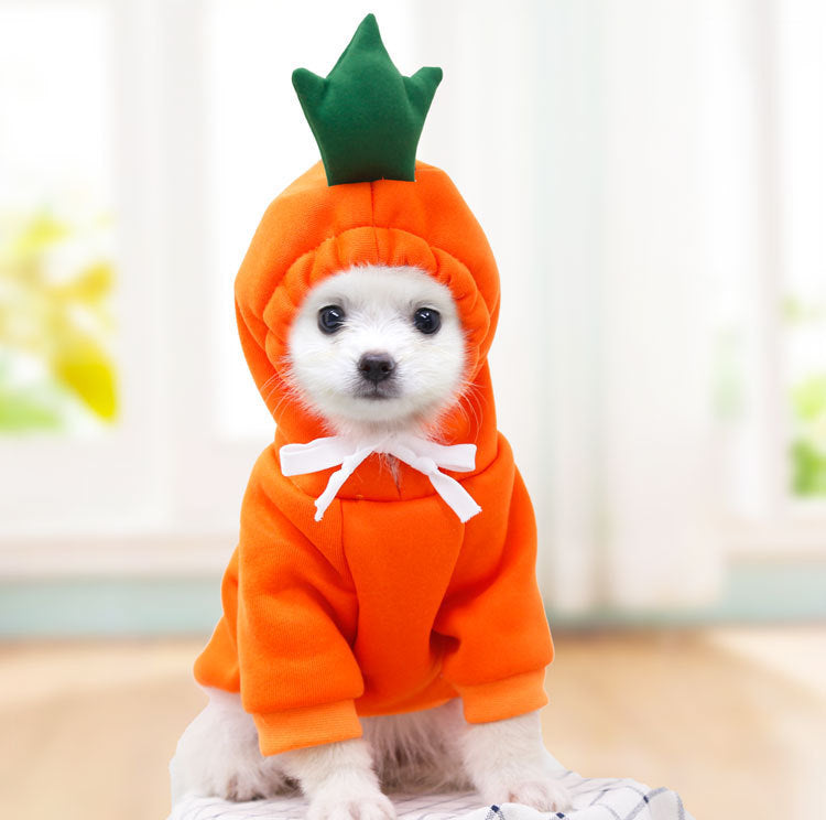 Cute dog hoodie for photos and holidays