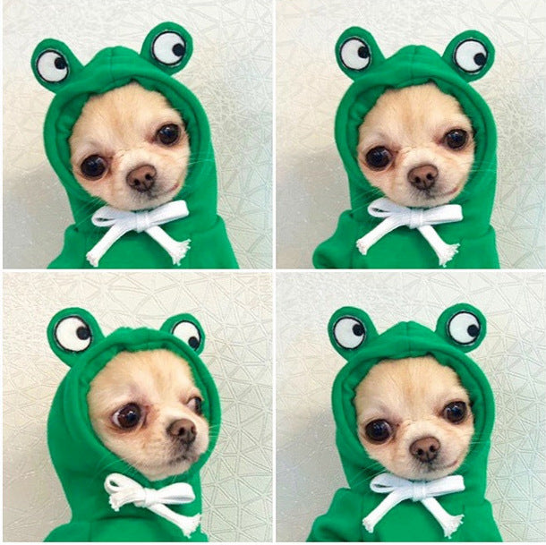 Soft fruit design dog hoodie