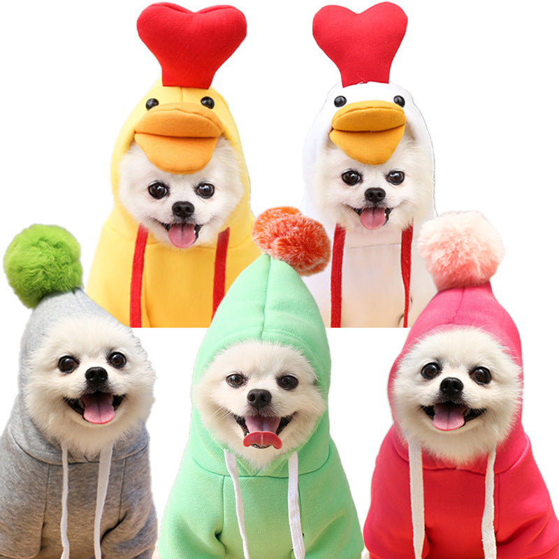 Warm small pet clothing for walks