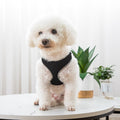 Dog walking vest harness with leash