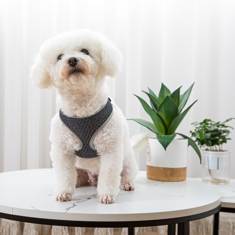 Gray pet walking harness with leash