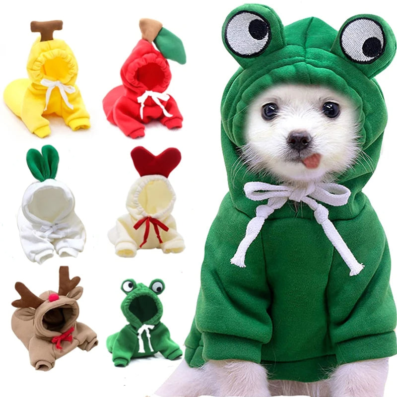 Small dog fleece hoodie outfit