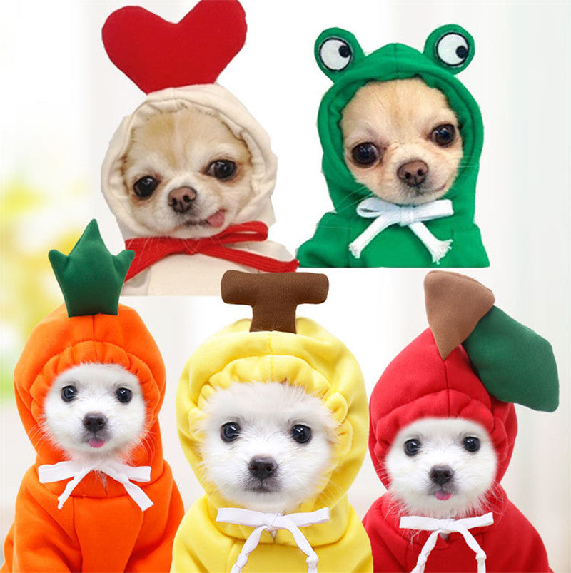 Drawstring style pet hoodie outfit