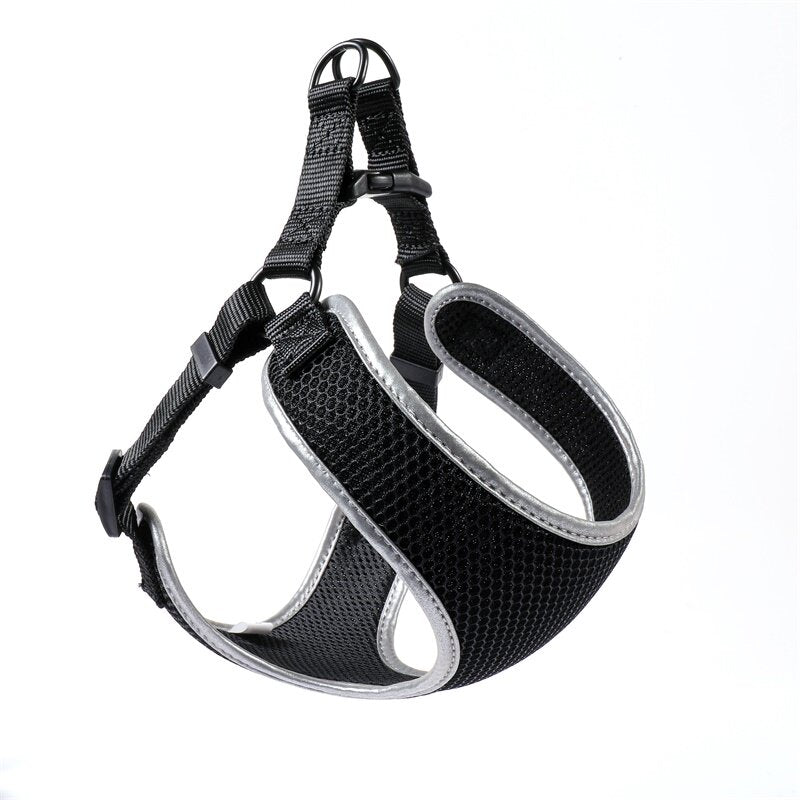 Black dog harness with matching leash