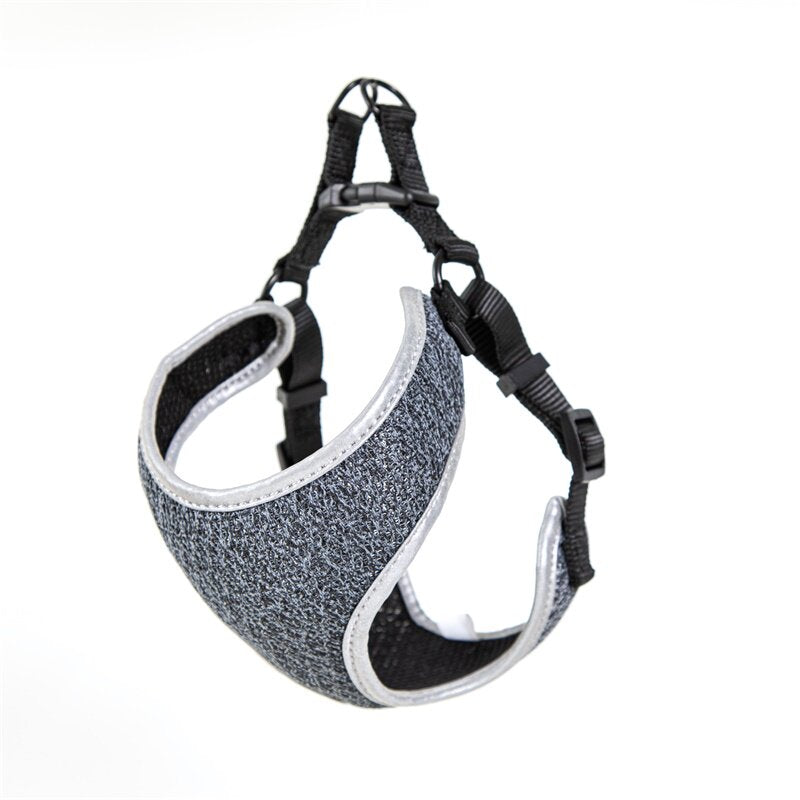 Cartoon pattern pet harness with leash