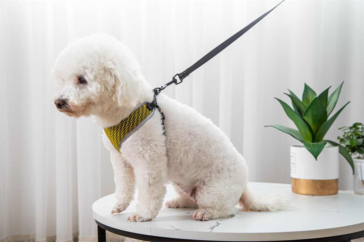 Vest style harness for small dogs and cats